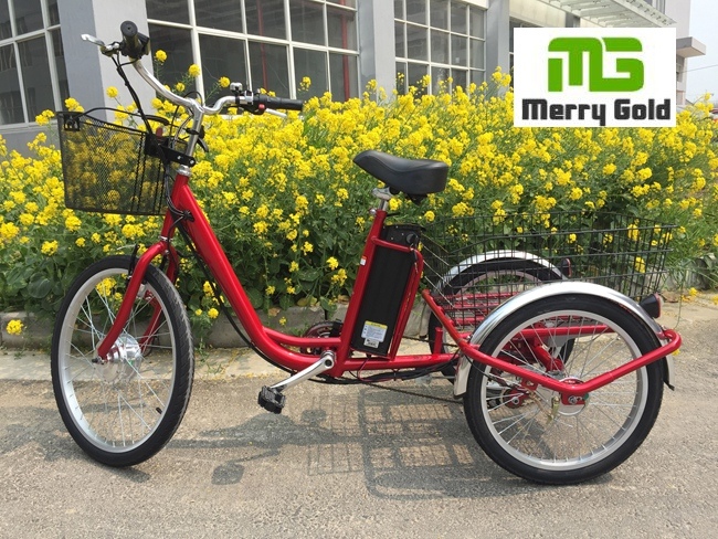 250W Hub Motor Three Wheel Cargo Electric Tricycle Image1