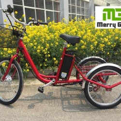 250W Hub Motor Three Wheel Cargo Electric Tricycle