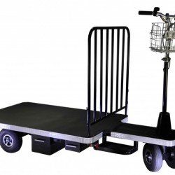 Electric Cargo Tricycle (DH-PS1-C8 Heavy Duty No Fence Curtis Controller 800W Motor)