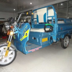 The Hot Selling Electric Tricycle for Cargo