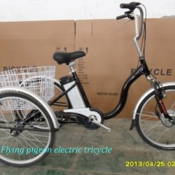 Electric Assist Trike PAS Tricycle Pedelec Adult Tricycle Moped Trike (ETR010)