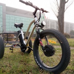 48V 500W Fat Tire Tricycle, Electric Tricycle Lithium Battery Bafun LCD Display