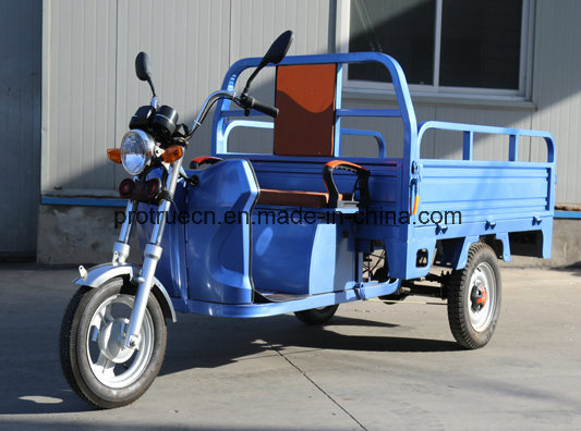 1000W Brushless Motor Electric Cargo Tricycle with Open Cargo Box Image1