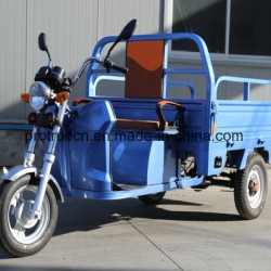 1000W Brushless Motor Electric Cargo Tricycle with Open Cargo Box