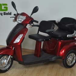Two Person 500W Electric Tricycle with Rear Basket