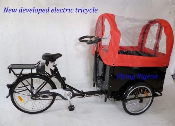 Big Load Capacity Electric Rickshaw Tricycle (FP-ERT003) Image1