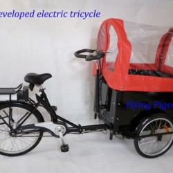 Big Load Capacity Electric Rickshaw Tricycle (FP-ERT003)