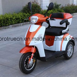 Electric Tricycle with Steel Frame