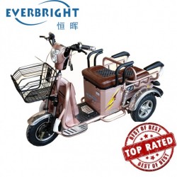 3 Wheel Electric Powered Bike Tricycle Trike for Adults