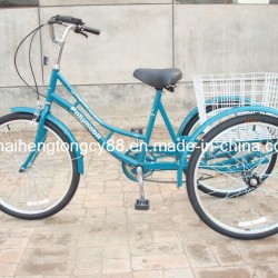 24" Steel Frame Single Speed Tricycle