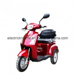 500W/800W Electric Disabled Tricycle, 3 Wheels Electric Scooter for Safe Driving