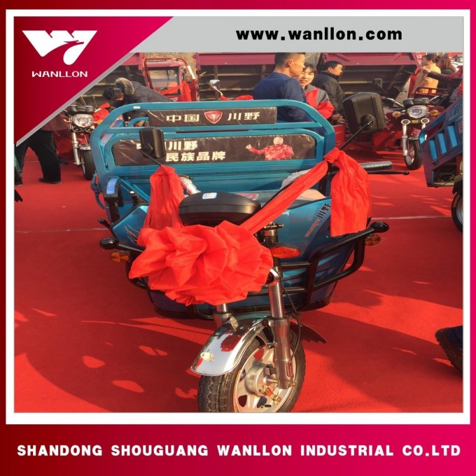 500W China Cargo Electric Tricycle for Adults Image1