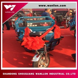 500W China Cargo Electric Tricycle for Adults