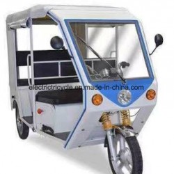 Hot Sale Three Wheeler Electric Adult Tricycle, Trike Passenger