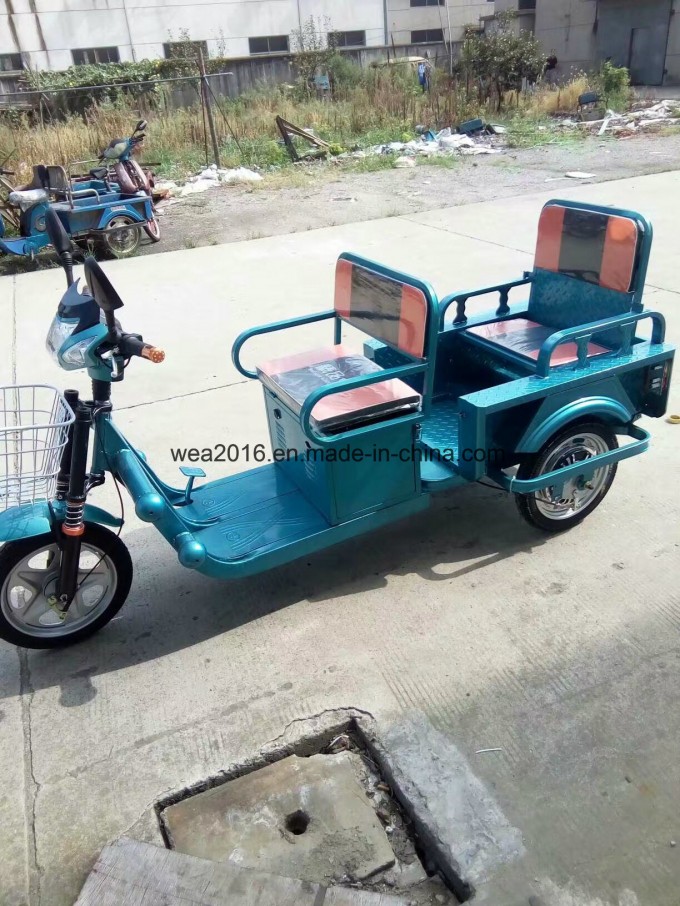 Cargo Passenger Three Wheeler Electric Tricycle Image1