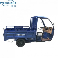 Electric Three Wheel Motorcycle Trike for Farm or Campgrounds, 3 Wheel Cargo Trike