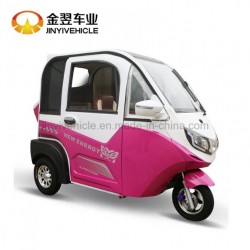 1000W 48V Electric Passenger Tricycle with Closed Body