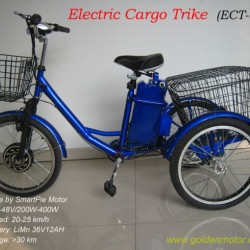 Electric Cargo Tricy
