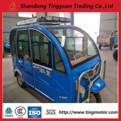 New China 48V800W El