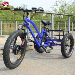 Fashion 48V 500W Adult Fat Tire Cargo Tricycle Three Wheel Electric Tricycle with Pedal