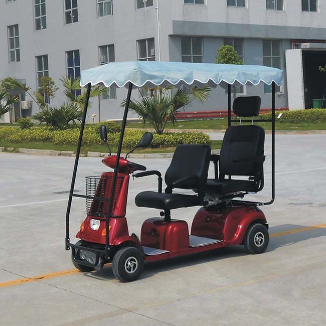 Electric Tricycle with Covered Dl24800-4 with CE Image1