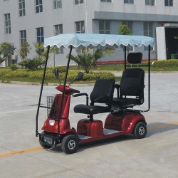 Electric Tricycle with Covered Dl24800-4 with CE