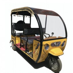 Wholesale 60V 1000W Passenger Electric Tricycle for 6 People