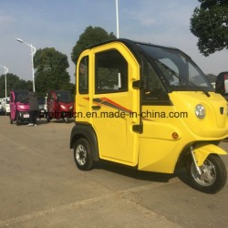 800W Lead-Acid Elecric Passenger Scooter