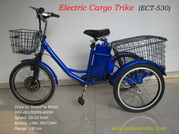 Electric Cargo Tricycle with Magic Pie 3 or Smart Pie Moor Image1