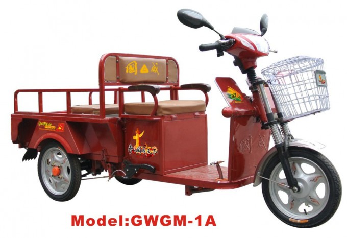 Gwgm-1A Electric Tricycle Image1