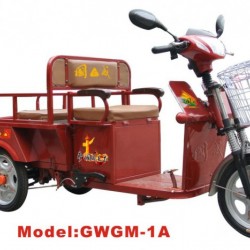 Gwgm-1A Electric Tricycle