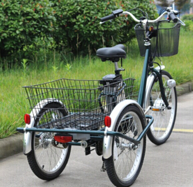 China New Price Big Three Wheeler Electric Tricycle for Disabled Image1