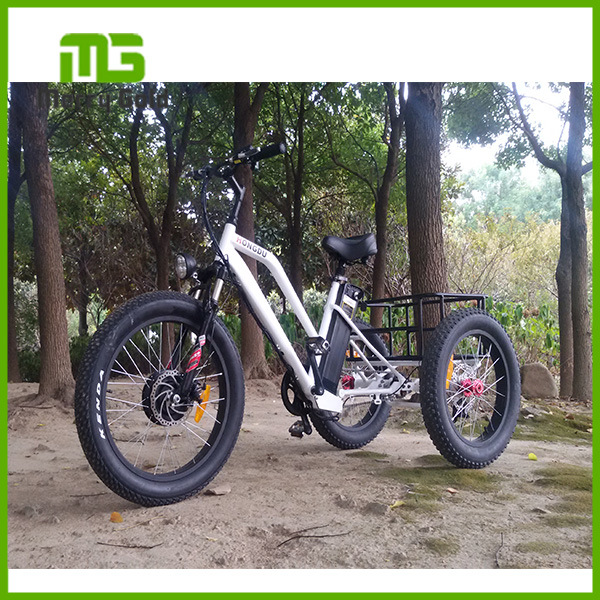 5-Speed 24 Inch 3-Wheel Electric Bike 500W 48V Image1