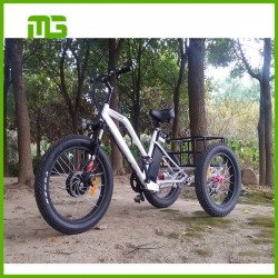 5-Speed 24 Inch 3-Wheel Electric Bike 500W 48V