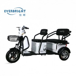 Three Wheeler/Electric Tricycle/Scooter/Bicycle/Electric Motorcycle/Motorcycle/Electric Bicycle