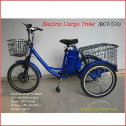 Electric Trike Cargo