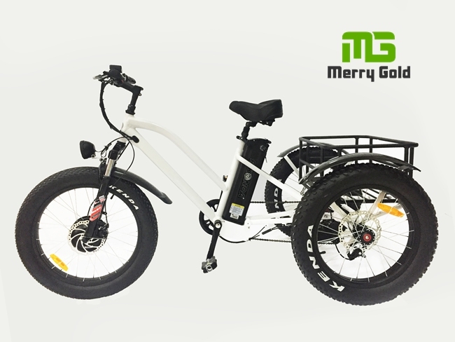 Three Wheel Fat Tire 500W Cargo Electric Trike Image1