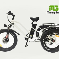 Three Wheel Fat Tire 500W Cargo Electric Trike