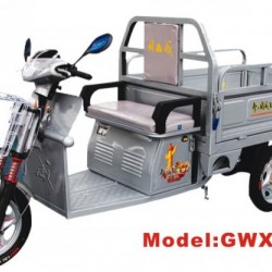Gwxw-2 Electric Tricycle