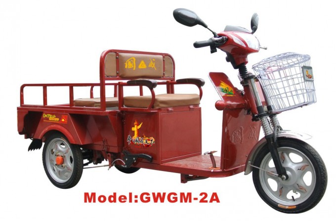 Gwgm-2A Electric Tricycle Image1