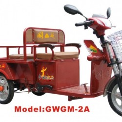 Gwgm-2A Electric Tricycle