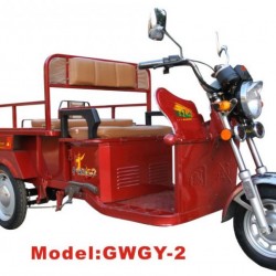 Gwgy-2 Electric Tricycle