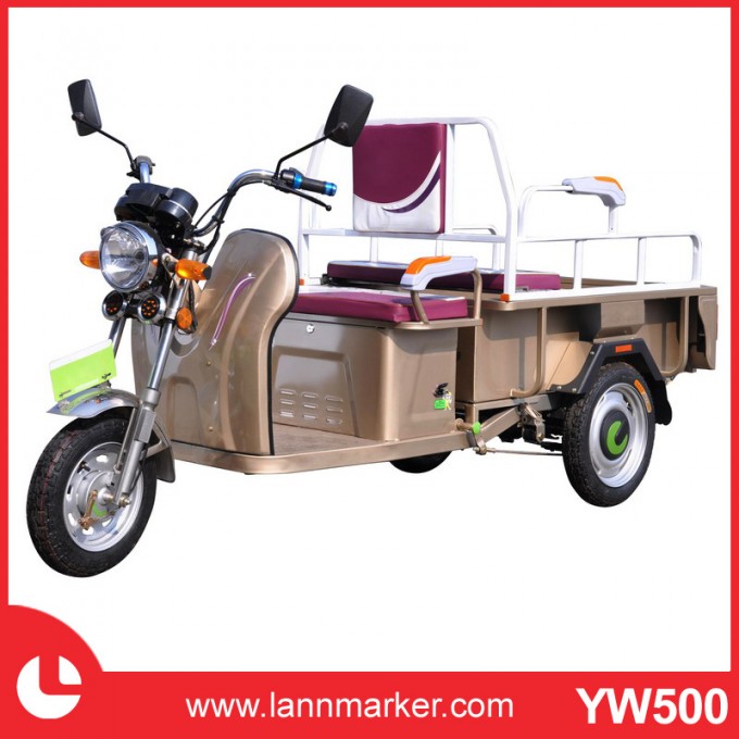 Fashionable Adult Electric Tricycle Image1