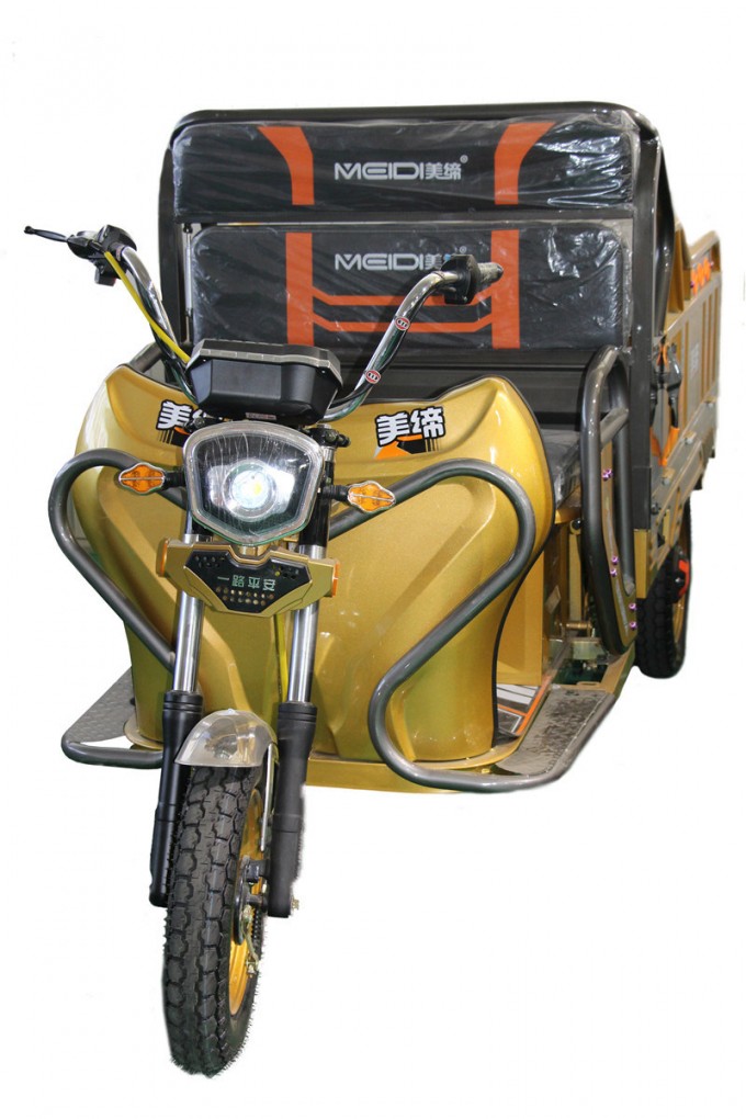 2018 Electric Tricycle with 48V 800W Motor Image1
