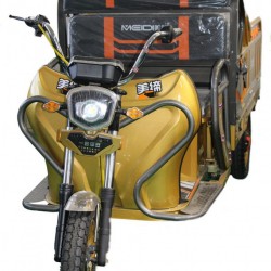 2018 Electric Tricyc