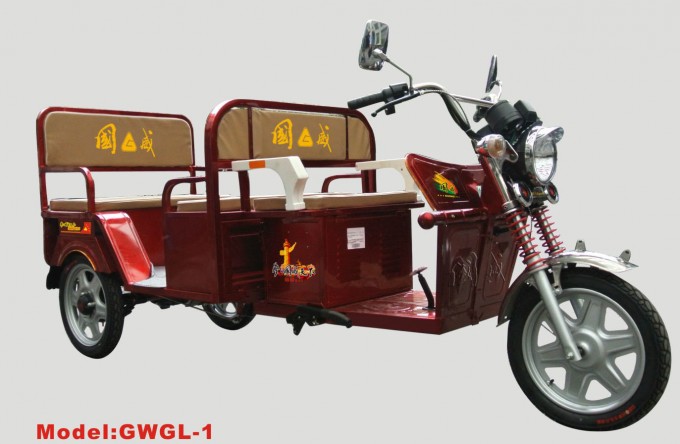 Electric Tricycle Gwgl-1 Image1