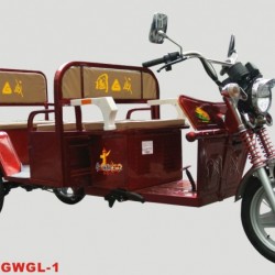 Electric Tricycle Gwgl-1