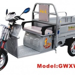 Gwxw-1 Electric Tricycle