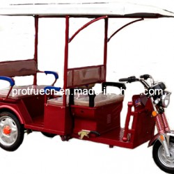48V 850W Electric Passenger Tricycle (ETR-02)