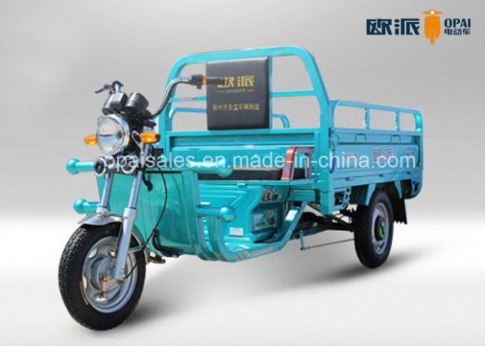 Electric Tricycle EEC Tubless Tire Electric Cargo Trike Headlight with Big Hopper Image1